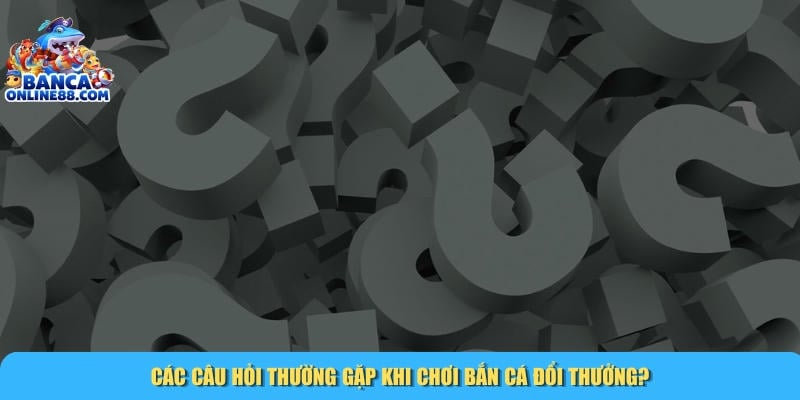Câu Hỏi Thường Gặp 2 Tổng hợp các câu hỏi thường phổ biến của hội viên chúng tôi