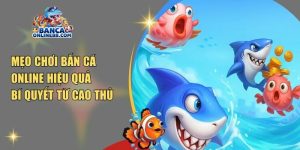 Mẹo chơi bắn cá online hiệu quả: Bí quyết từ cao thủ