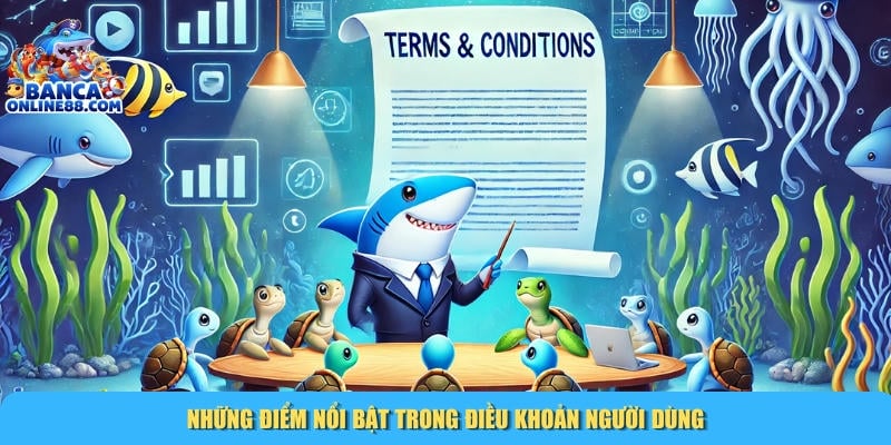 Tổng hợp các điểm nổi bật có trong điều khoản và điều kiện