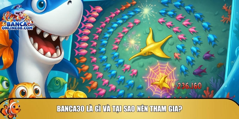 Giới thiệu tổng quan về nền tảng game banca30 online