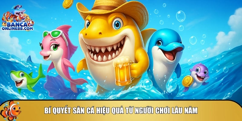 Khám phá bí quyết săn cá hiệu quả từ người chơi lâu năm