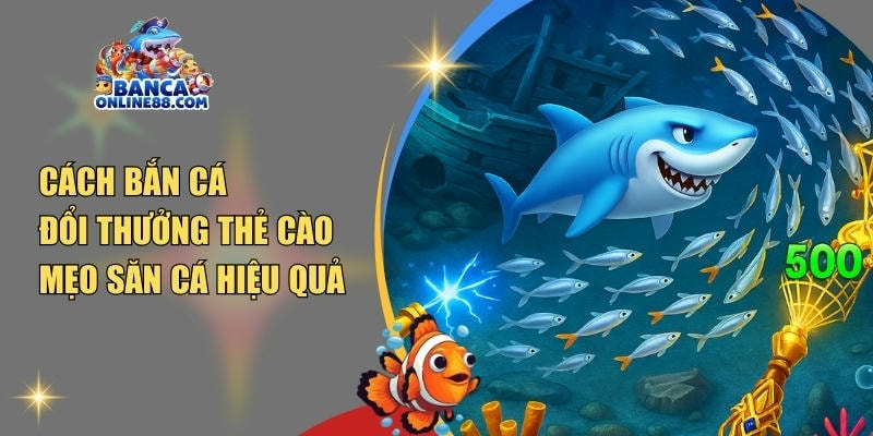 Cách bắn cá đổi thưởng thẻ cào: Mẹo săn cá hay nhất 2025