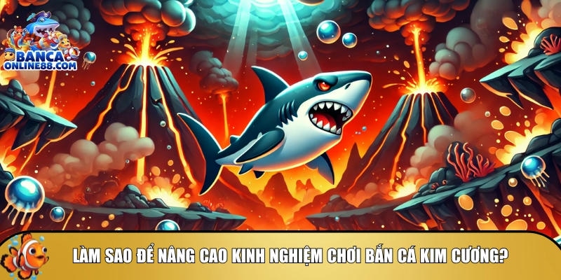 Tìm hiểu cách để bắn cá kim cương chính xác hơn