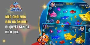 Mẹo chơi vua bắn cá online: Bí quyết săn cá hiệu quả