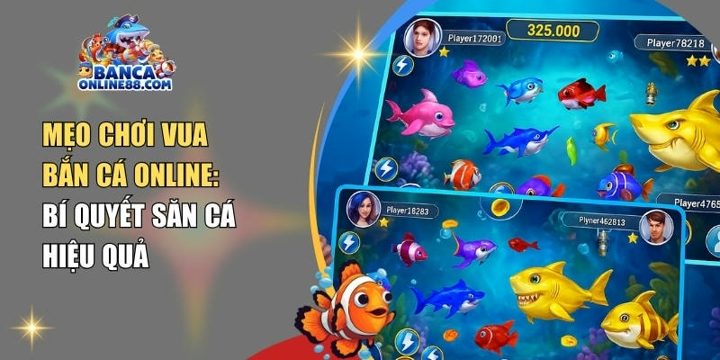 Mẹo chơi vua bắn cá online: Bí quyết săn cá hiệu quả