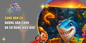 Súng bắn cá: Hướng dẫn chọn và sử dụng hiệu quả